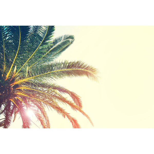Bay Isle Home Palm Trees Branches On Canvas by Natalia Deriabina Print ...