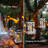 16.1'' H Wood, Metal Lantern