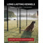 Chenils de la série Lucky Dog Stay-62246692-62246690