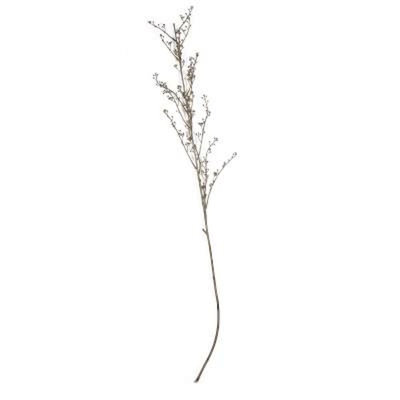 Bourre de vase baies Pacanow