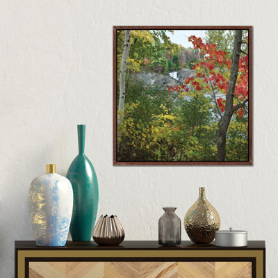 Chutes Provincial Park, Ontario, Canada I by Tim Fitzharris - Gallery-Wrapped Canvas Giclée on Canvas