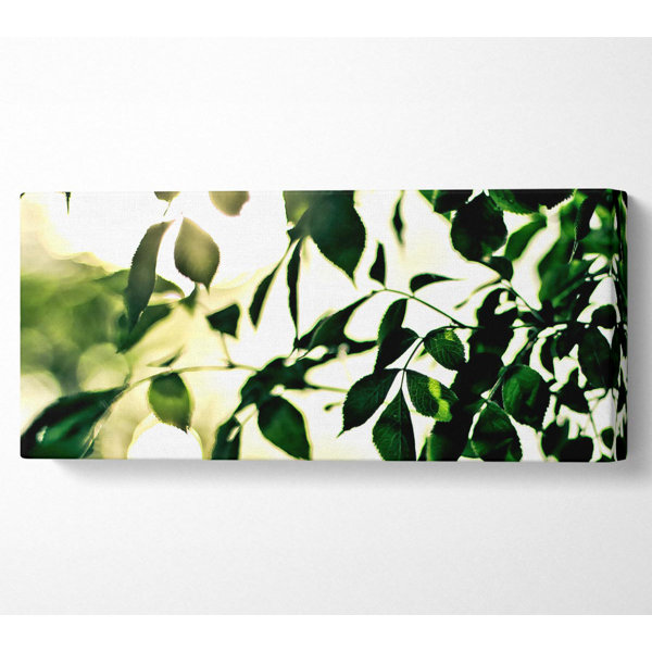 Ebern Designs Summer Green Leaves - Wrapped Canvas Panoramic Art Prints ...