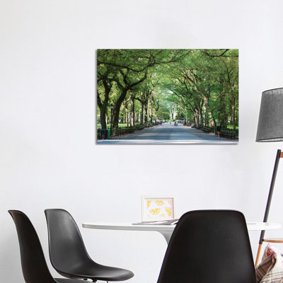 The Mall, Central Park 1 Piece Wrapped Canvas Wall Art