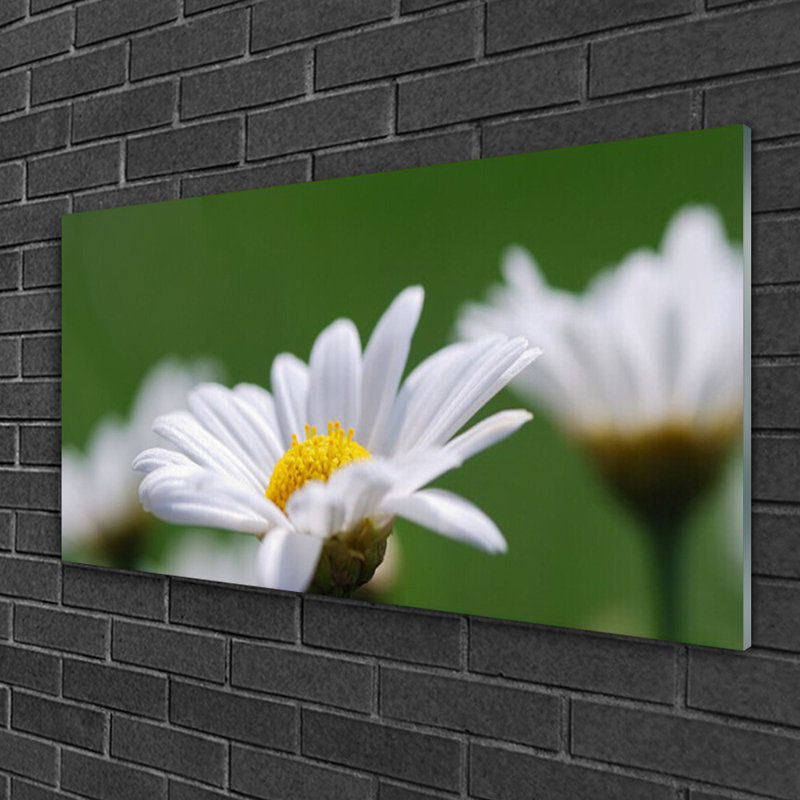 Floral Daisy - Unframed Photograph on Glass