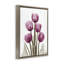 Tulipes roses à rayons X-572349304-580676543