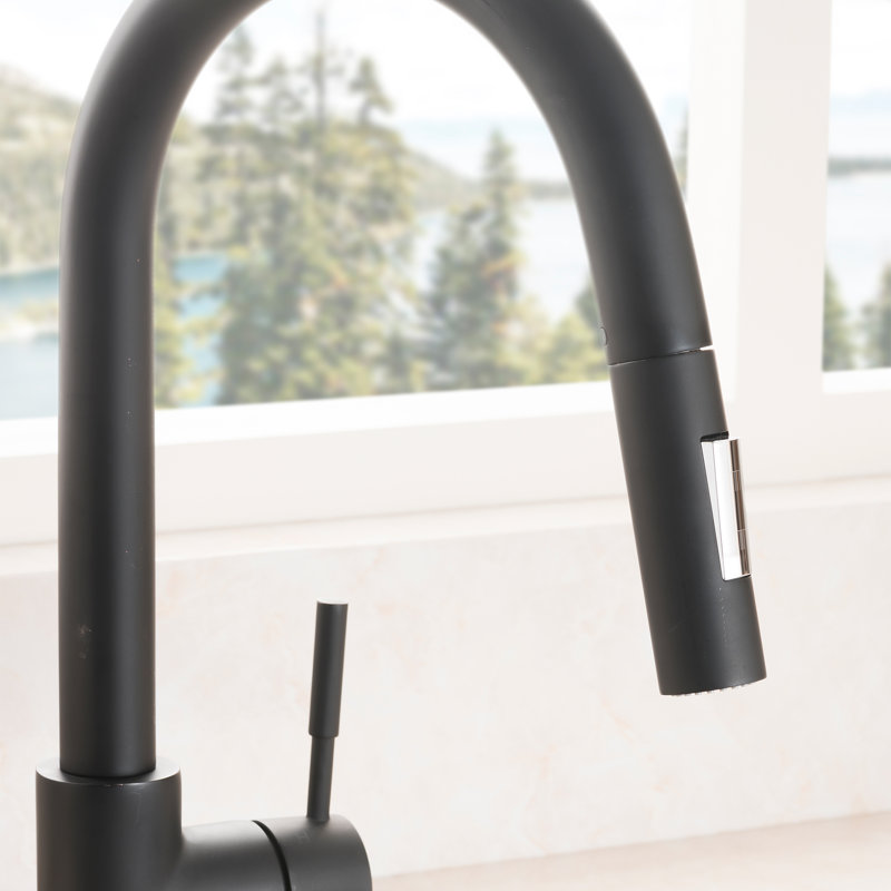 Gemini Single Handle Kitchen Faucet with Side Spray and Accessories, Matte Black
