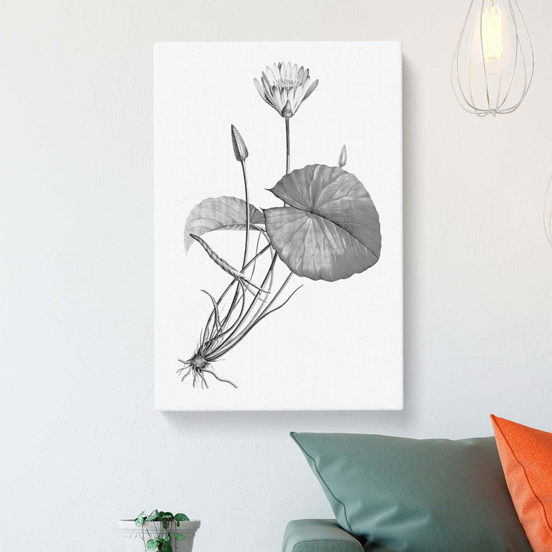 Egyptian Lotus Flower - Wrapped Canvas Print, 60cm H x 40cm W x 3cm D