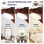 Ventilateur de plafond discret en bois massif avec éclairage DEL et télécommande-1364771473-1364771483-1364771486