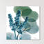 Golden Lilly Of Eucalyptus - Wrapped Canvas Print-681406987