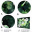 Ensemble de salon Hibiscus Harmony II rose et vert floral