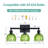 3-Light Black Vanity Light, Suitable For Bathroom, With Ribbed Green Tulip Glass Shades,Bathroom Light Fixture-1739114331-1739323093