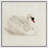 Animals " Elegant Swan In Repose "-242972165-242972175
