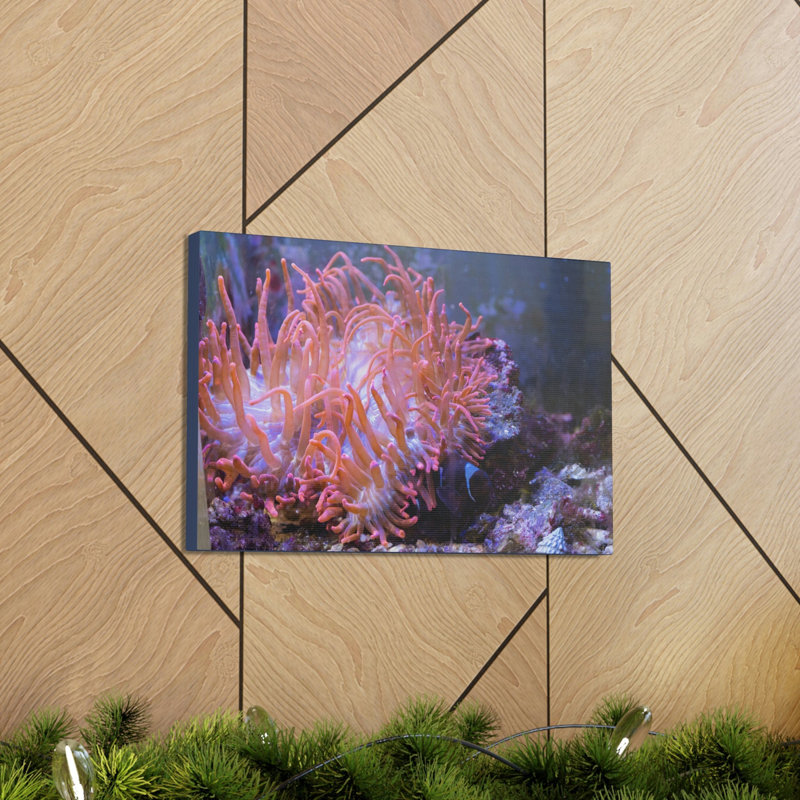 No Frame Print on Canvas, 27.94cm H x 35.56cm W