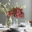 Fleurs et tiges de glycine-479851214