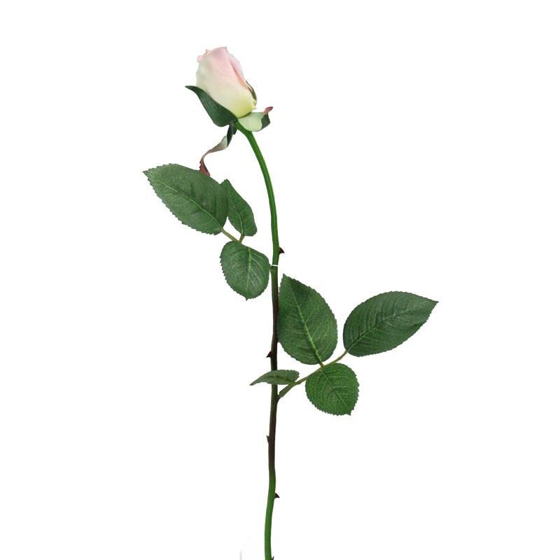 Rose Arrangement