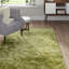 Makaila Silky Shaggy Apple Area Rug-14461310