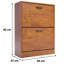 Blisswood 2 Drawer Shoe Storage Cabinet-740674143