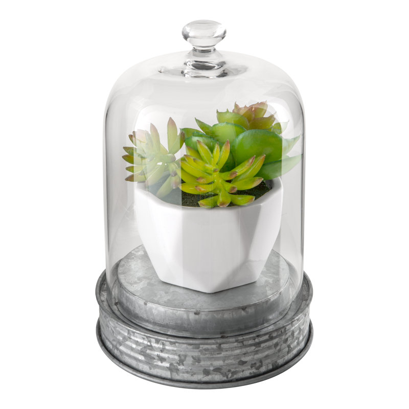 Dunnottar Glass Decorative Object, 8.25" H x 5.3" W x 5.3" D