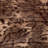Animal Print Reversible Throw Pillow-86565286-86565277-86565285