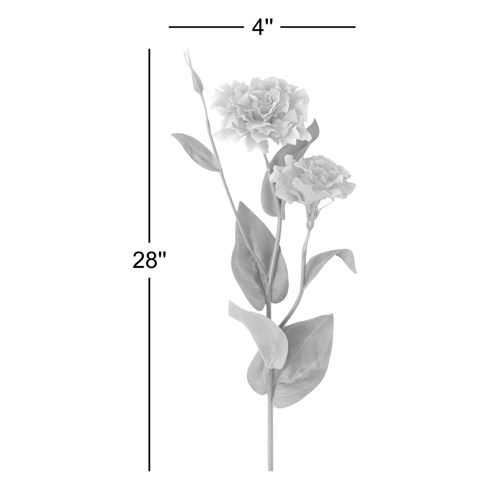 Lisianthus Flower Stems