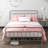 Saretta Metal Canopy Bed-1446171078