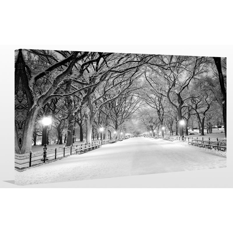 « winter park », reproduction de photo sur toile tendue, H 24 po x l 40 po x p 1 po