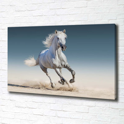White Horse In Gallop - Wrapped Canvas Print