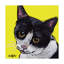 « cat tuxedo », reproduction de peinture à l’acrylique sur toile tendue-1462367928