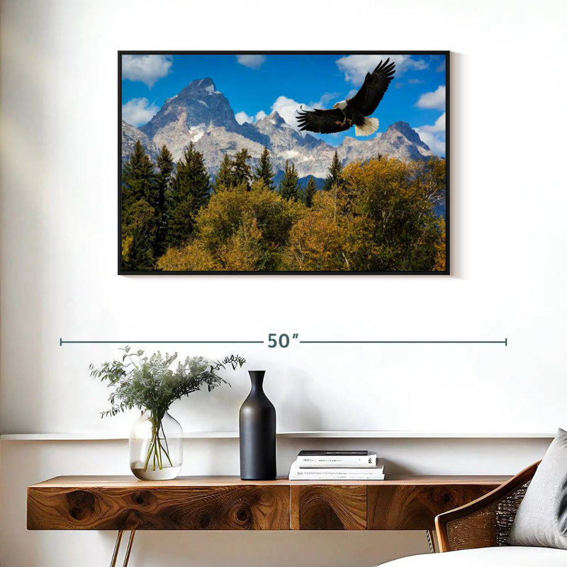 Grand Teton Eagle, Cadre flottant noir, 37 po x 25 po