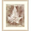 Routt Ferns 1 Painting