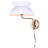 Kyshaun Plug-in Swing Arm Sconce