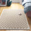 Tapscott Soft High Pile Machine Woven Chequered Beige/White Rug-936440474