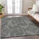  Maliana Area Rug