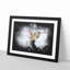 Flying Hummingbird Bird - Picture Frame Graphic Art Print-56863029-56863024
