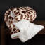Jeté en molleton Sherpa de Lavish Home - Jeté réversible lavable à la machine de 50 x 60 pouces - Couvertures moelleuses pour canapé, chaise ou lit