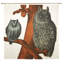 Rideau de douche simple Owl