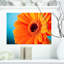 « orange marguerite gerbera », reproduction de photo sur toile tendue-19240196-33322700