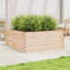 2 Wood Planter-100491928-100491944