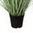 Mini Cattail Drop-In Plant