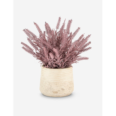 Artful Interiors Purple Wheatgrass