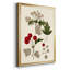Feuilles et baies III-88435406-88435407