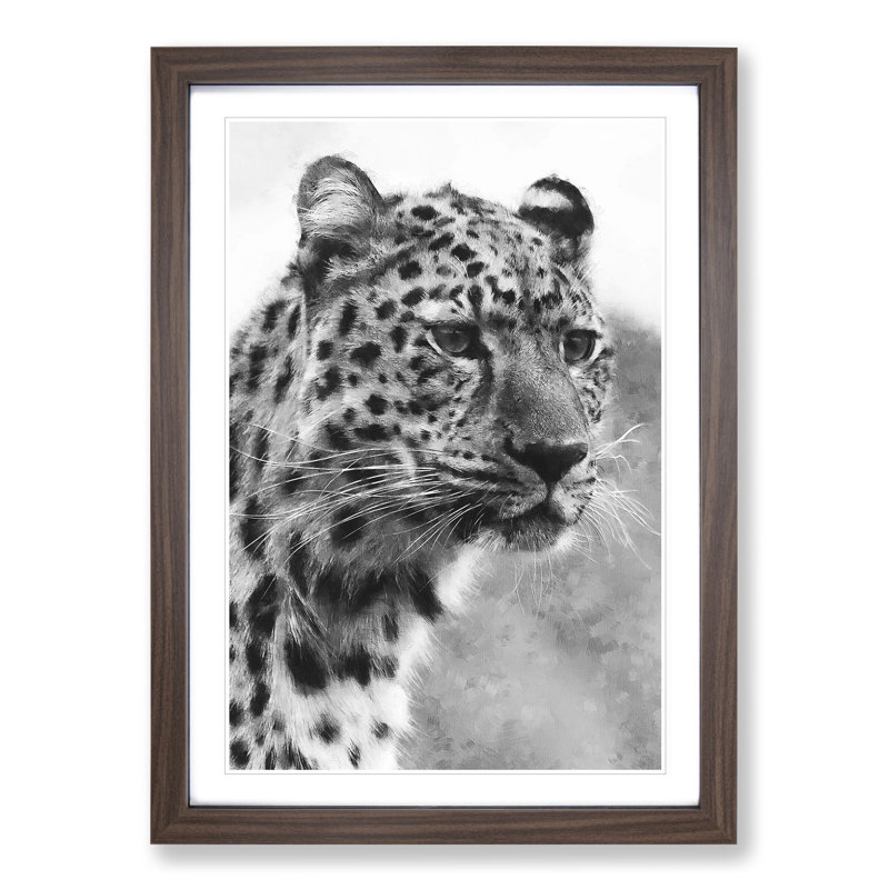Cheetah Vol.3 - Framed Print, 48cm H x 36cm W x 2cm D, Walnut Framed