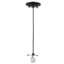 Rustic Lodge 1 - Light Pendant