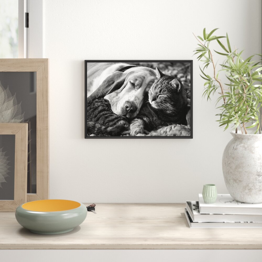 Gerahmtes Wandbild Katze und Hund kuschelnd Kunst B&W