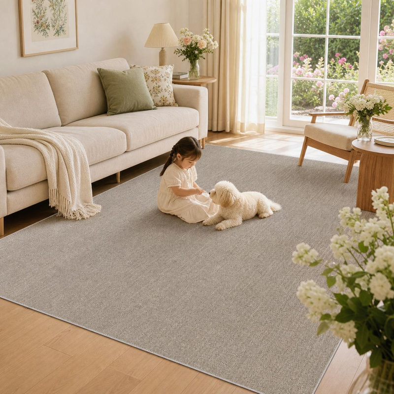 Modern Neutral Area Rugs for Living Room Dining Room Bedroom Farmhouse Non Slip Washable Stain Resistant Soft Indoor Carpet Foldable Non-Shedding Low Pile Rug for Farmhouse Home Office Decor
