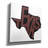 'Texas 2' by Art Licensing Studio Canvas Wall Art