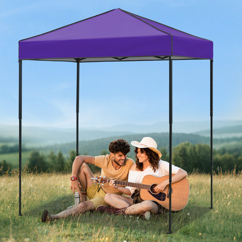 Tente d'auvent 6 x 4, auvent escamotable robuste avec sac de transport, Mauve