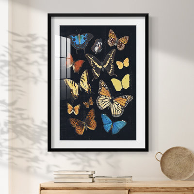 Combs -Gallery Wrapped Canvas