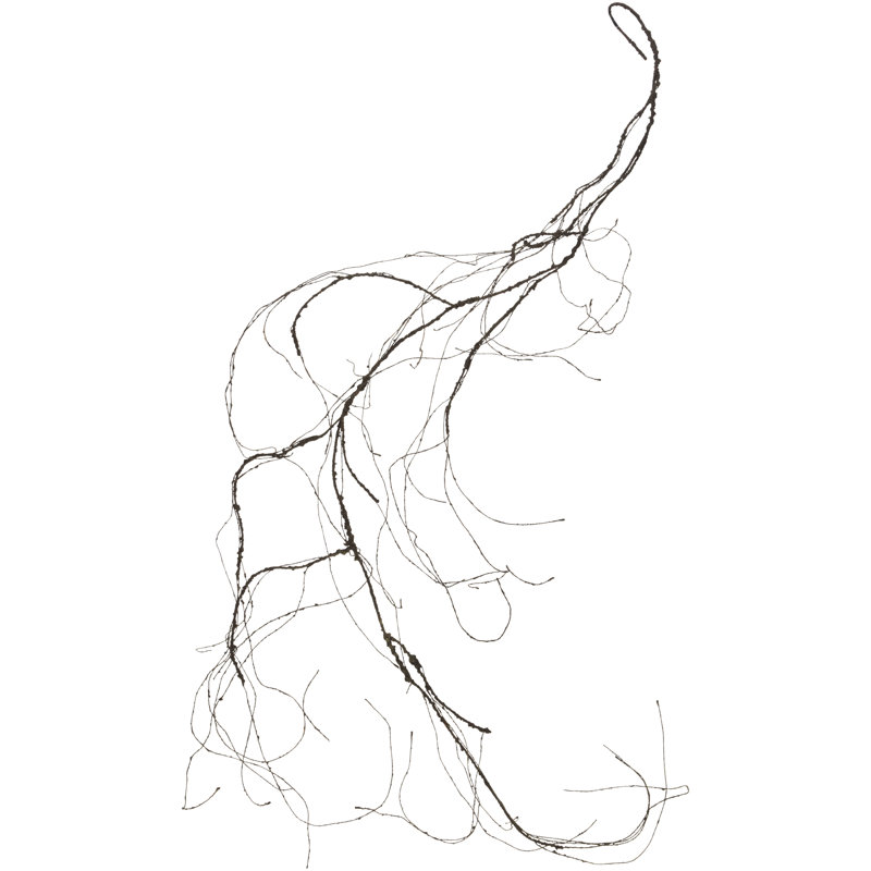 Dried Vine - 64 Inches Set Of 6