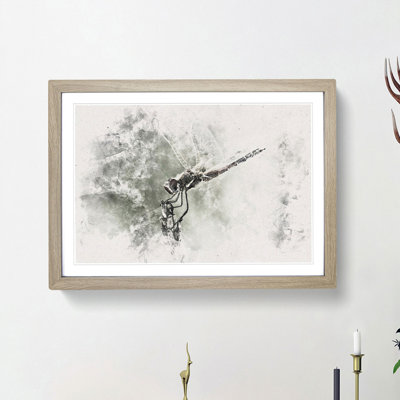 Perched Dragonfly - Framed Print